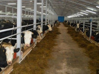В Костромской области создаются новые цеха по переработке мяса и молока