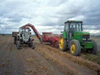 Намолот зерновых в Костромской области превысил прошлогодние показатели на 25%