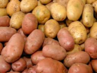Картофельный союз выступил против «черного» импорта