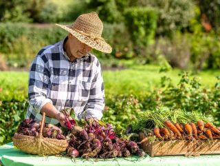 «Нужно, чтобы органическое сельское хозяйство стало приоритетом для государства»: как развивать меры господдержки для органики