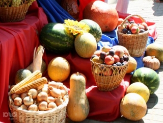 Тамбовская область поддержит сельхозпереработку в ближайшие три года