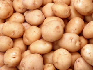 На Чукотке был собран рекордный урожай картошки