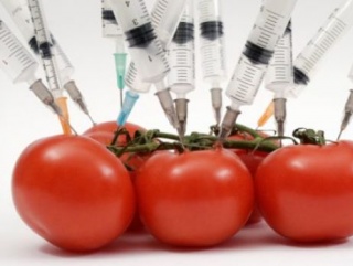 ГМО в продуктах - штраф предпринимателям