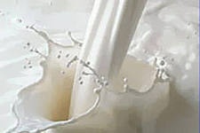 В Московской области молоко станут производить по уникальной технологии