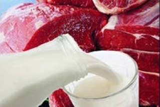 Роспотребнадзор предупредил о росте случаев выявления некачественного мяса и молочных продуктов из Литвы