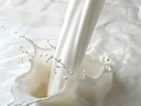 Импорт молока в августе сократился на 57,2%
