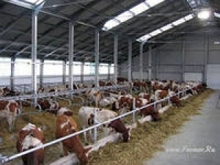 За два года в Курганской области создано 48 КФХ и 9 семейных ферм