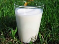 Росстат: за год молочная продукция подорожала на 16,2%