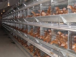 В Башкирии реализован аграрный инвестпроект стоимостью 8 млрд руб