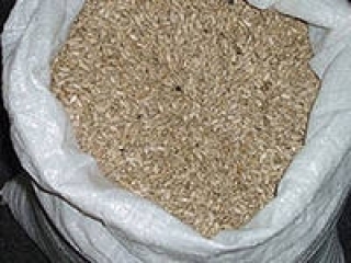 Свердловская область: импортные семена оказались заражёнными