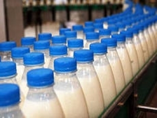 Приносят ли прибыль белорусские молочные комбинаты?