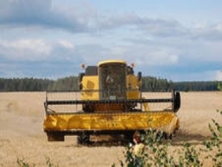 Тюменская область выводит комбайны на поля