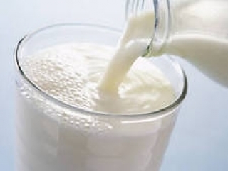 Кыргызстан надеется на возможность расширения экспорта молочной продукции в южные области Казахстана