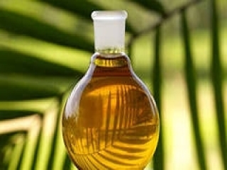 Россия увеличила импорт пальмового масла за 9 месяцев на 36,5%
