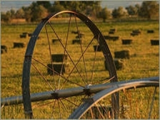 В Забайкалье и.о. министров сельского хозяйства и финансов подвели итоги