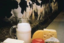 Эстония защитит свои молочные продукты от ограничений РФ