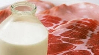 Госсаннадзор за мясом и молоком в Беларуси осуществляется «от фермы до прилавка» - Минздрав