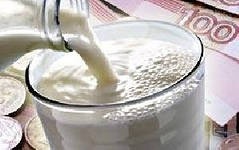 СОЮЗМОЛОКО: значительного падения цен на молоко не ожидается