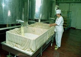 Алтайский производитель масла и сыра купил обанкроченный колхоз