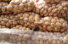 Ввоз украинского картофеля в Россию ограничат с 16 июня