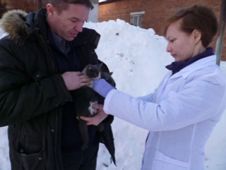 Зафиксированы новые вспышки бешенства среди животных в Пермском крае