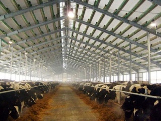 Молочные реки вытекают за пределы Рязанской области