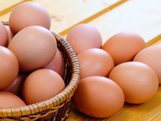 За полгода производство яиц в Украине выросло на 4%.