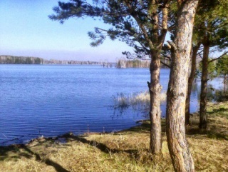 Томская область – близ Кандинского водохранилища создадут аквабиоцентр