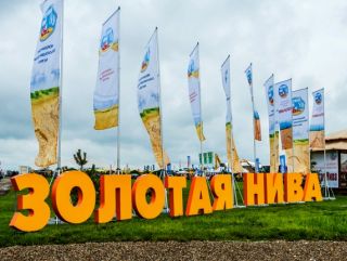 С 25 по 28 мая на Кубани пройдет XXI Агропромышленная выставка-ярмарка «Золотая Нива»