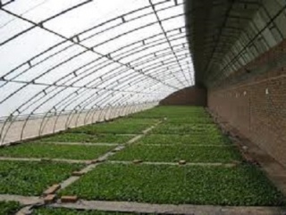 Минсельхоз гарантирует фермерский заработок контрактными скрепами