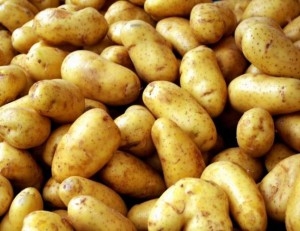 Россельхознадзор проверит каждую партию картофеля из Европы