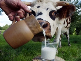 Цены на сырое молоко выросли на 4% - эксперт