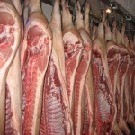Беларусь из-за АЧС в 2013 г. недополучила 15 тыс. тонн свинины