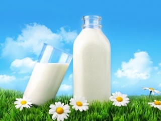 Зачем Белоруссии столько молока?