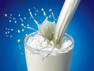 Защитные пошлины на молочные продукты будут действовать до сентября