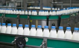На российских прилавках станет больше белорусского молока