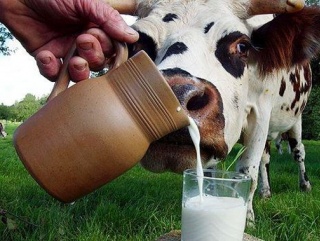 В Бурятии состоится «Праздник молока»