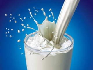 На Камчатке увеличился объем реализации молока