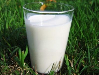 В 2014 году продолжится субсидирование производства молока