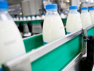 В Республике Коми запустили новый молочный цех