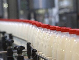 Архангельский молокозавод может спасти инвестор