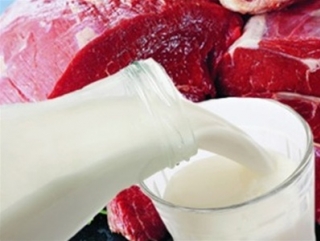 Депагропром: ситуация на рынке мяса и молока стабильна