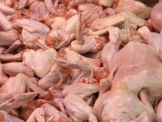 Алтайские птицефабрики мясного направления нарастили объемы производства