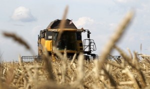 Росийскими аграриями намолочено 93 млн. тонн зерна