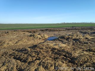 В Курской области 5 ферм привлечены к ответственности за нарушения