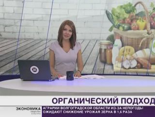 Покупай натуральное: в России вводят закон об органических продуктах