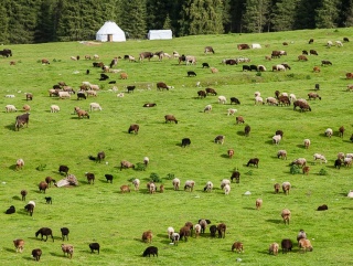 Земли Волгоградской области нуждаются в защите