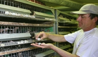 В ноябре пермским фермерам выделят 17,3 млн рублей