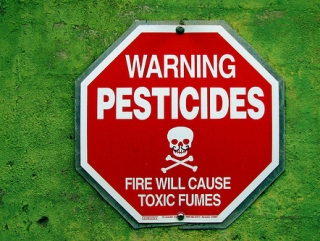 Сегодня - Международный день борьбы с пестицидами