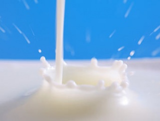 Цены на молоко в 2015 году могут вырасти на 7-8%